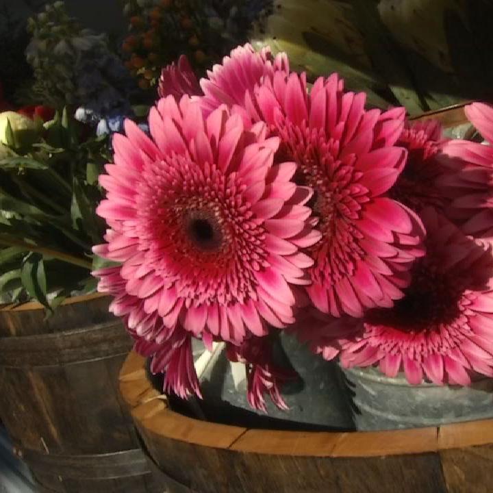 flower truck 11-24-19 (2).jpg